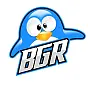 BGRAI.XYZ $BGR