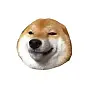 coinu $coinu